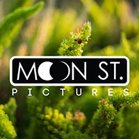Moon Street Pictures Logo